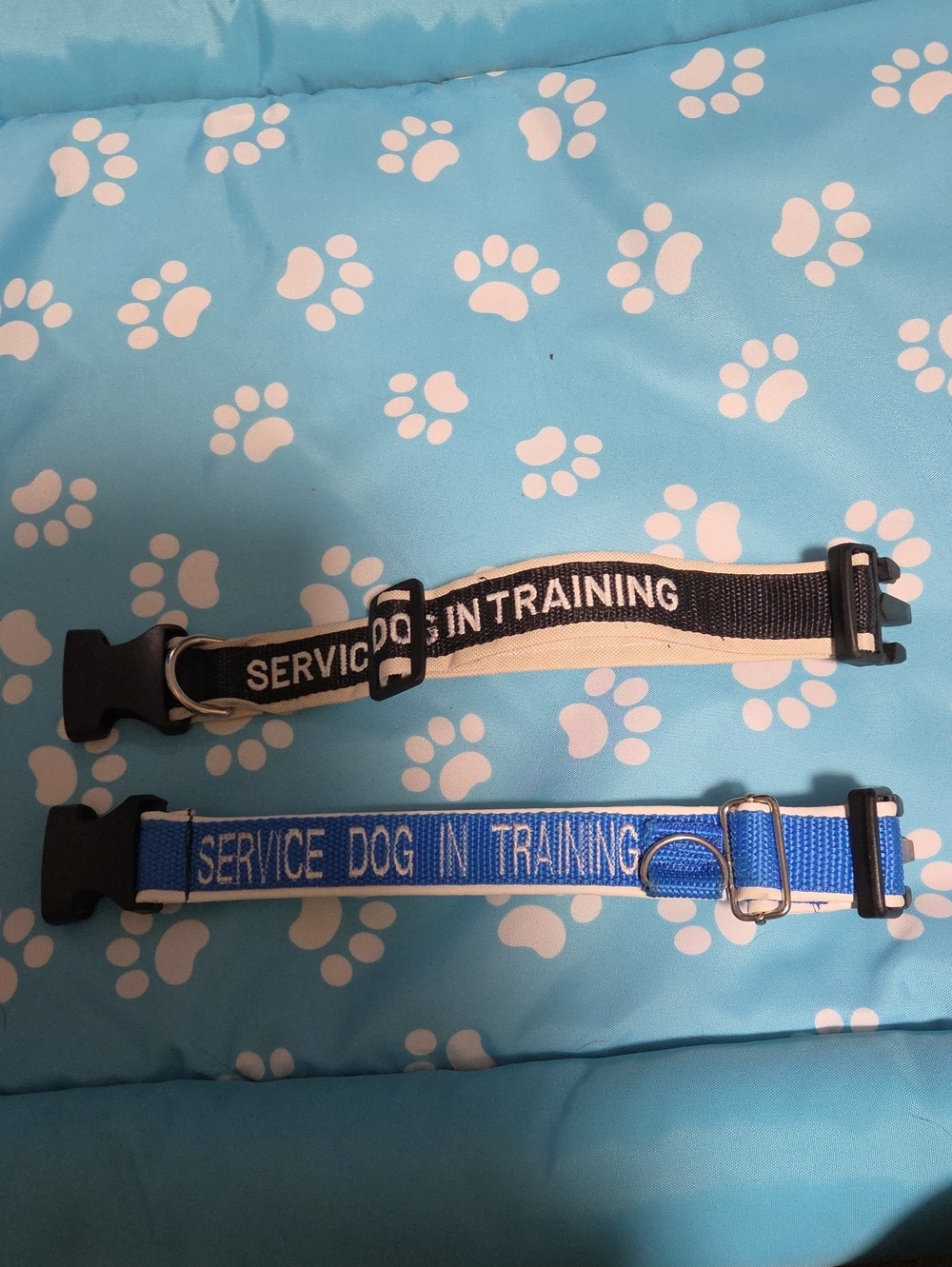 2 Service Dog In Training Collars